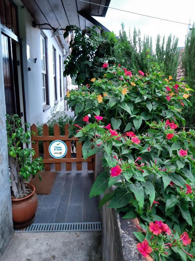 Casa do Sr. Falcão Miranda do Corvo Exterior foto