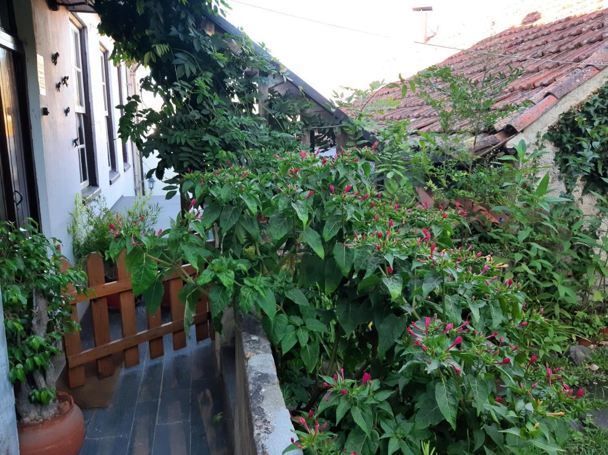 Casa do Sr. Falcão Miranda do Corvo Exterior foto